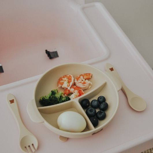 Silicone Suction Plate with Lid